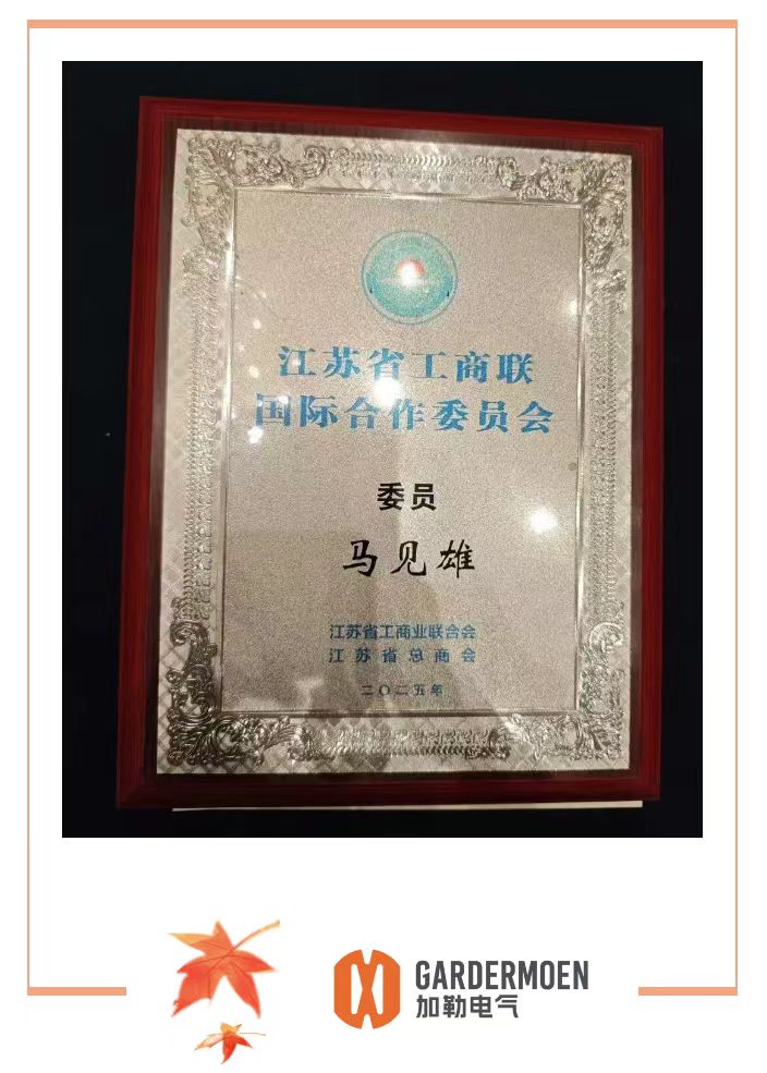 馬見雄董事長榮任江蘇省工商聯(lián)國際合作委員會委員(圖3)